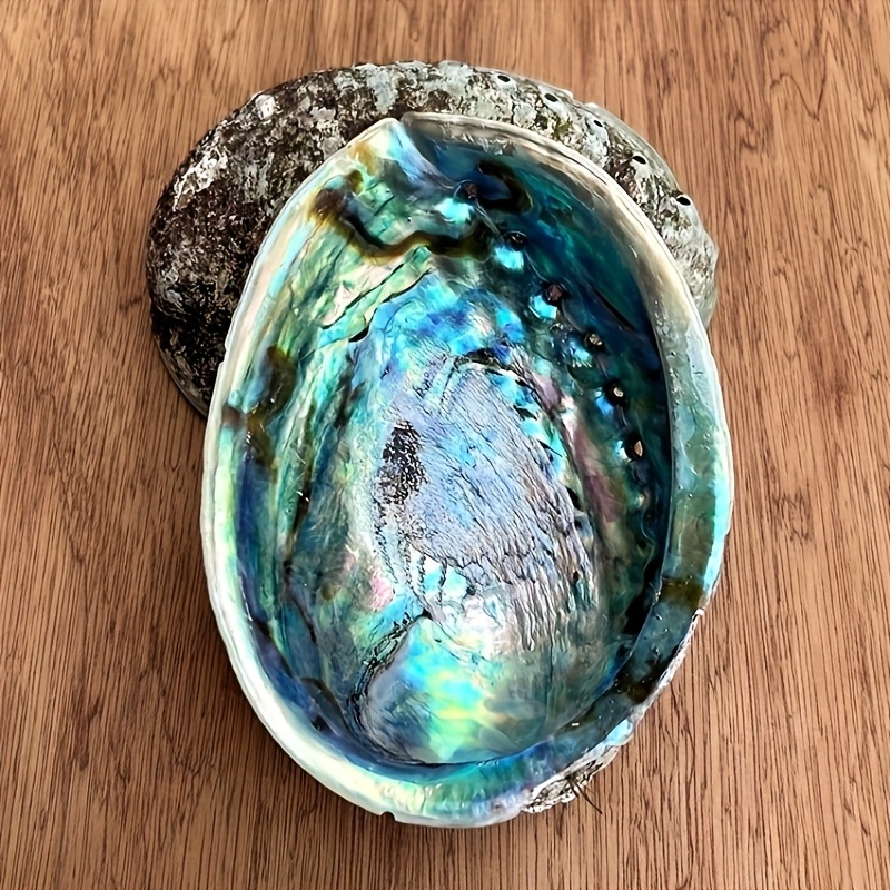 Abalone Shell Planters, Abalon - огляд і ціна Outdoor Furniture Material