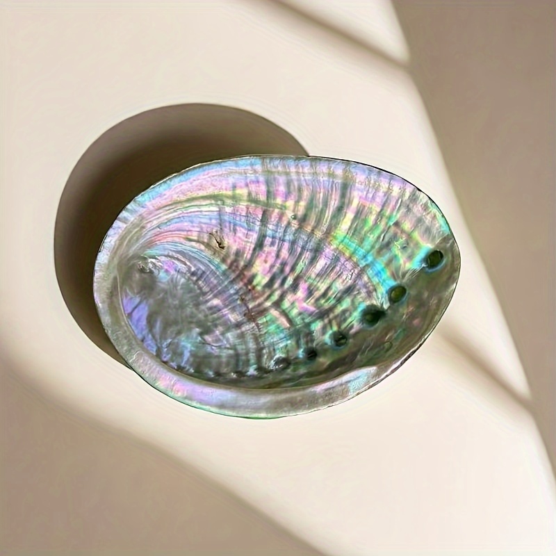 Abalone Shell Planters, Abalon - огляд і ціна Outdoor Furniture Material